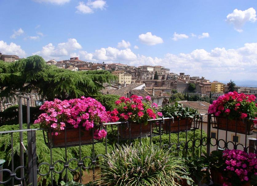 Vista esterna Foto