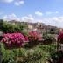 Vista esterna