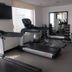 Palestra
