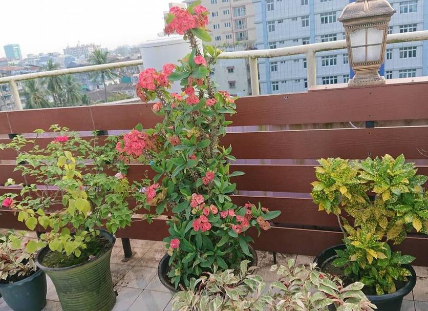 Balcone Foto