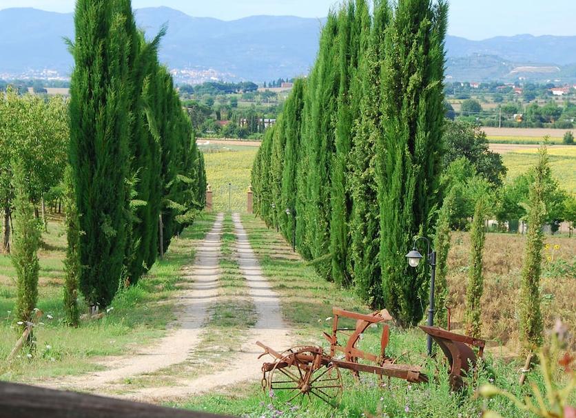 Vista esterna Foto