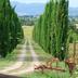Vista esterna