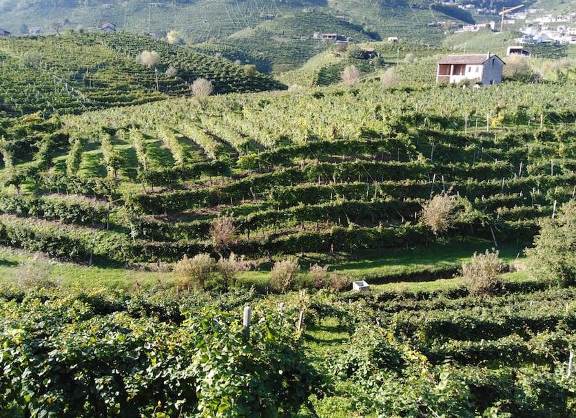 Vista esterna Foto