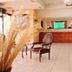 Ingresso