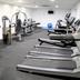 Palestra