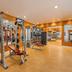 Palestra