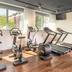 Palestra