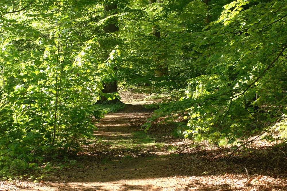 Vista esterna