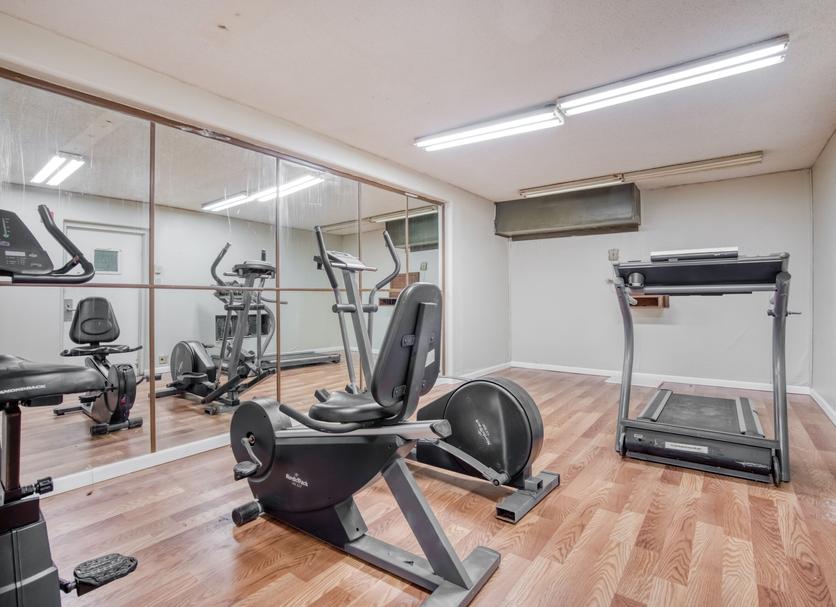 Palestra Foto