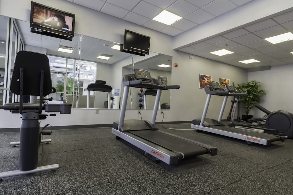 Palestra