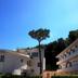 Vista esterna