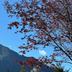 Vista esterna