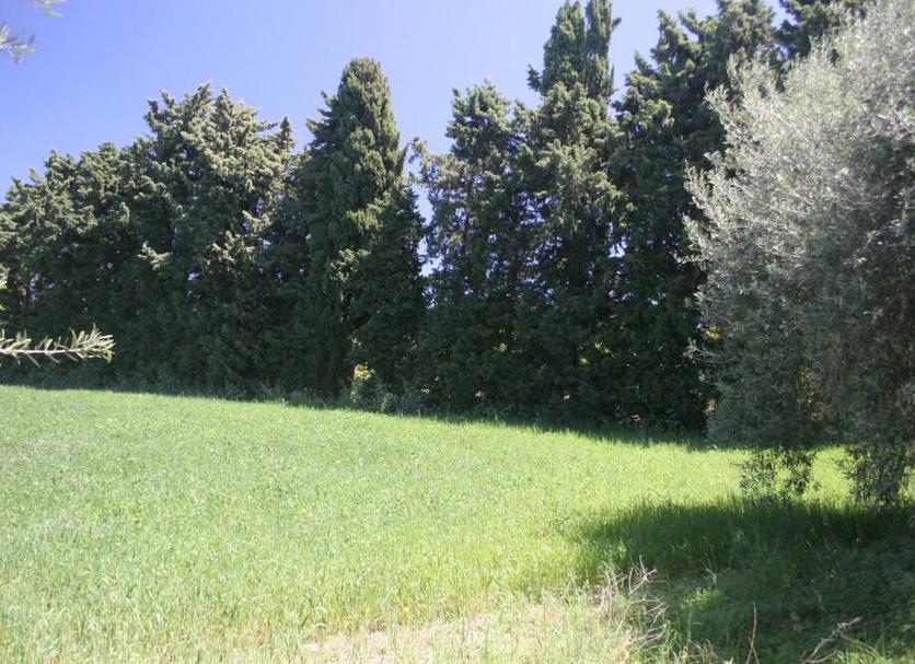 Vista esterna Foto