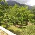 Vista esterna