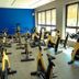 Palestra