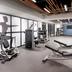 Palestra