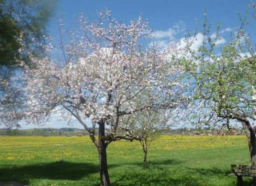 Vista esterna Foto