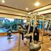 Palestra
