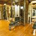 Palestra