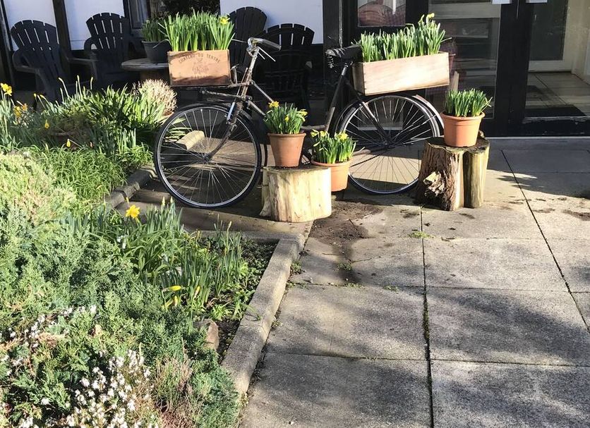 Patio Foto
