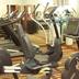 Palestra