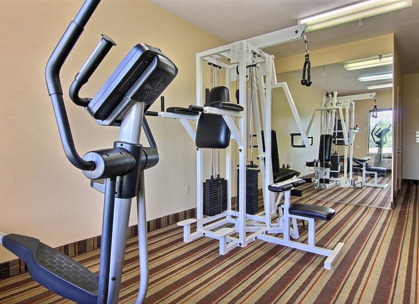 Palestra Foto