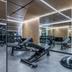 Palestra
