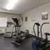 Palestra