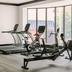 Palestra