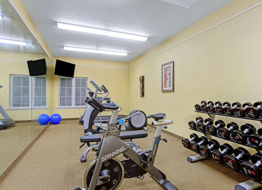 Palestra Foto