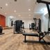 Palestra