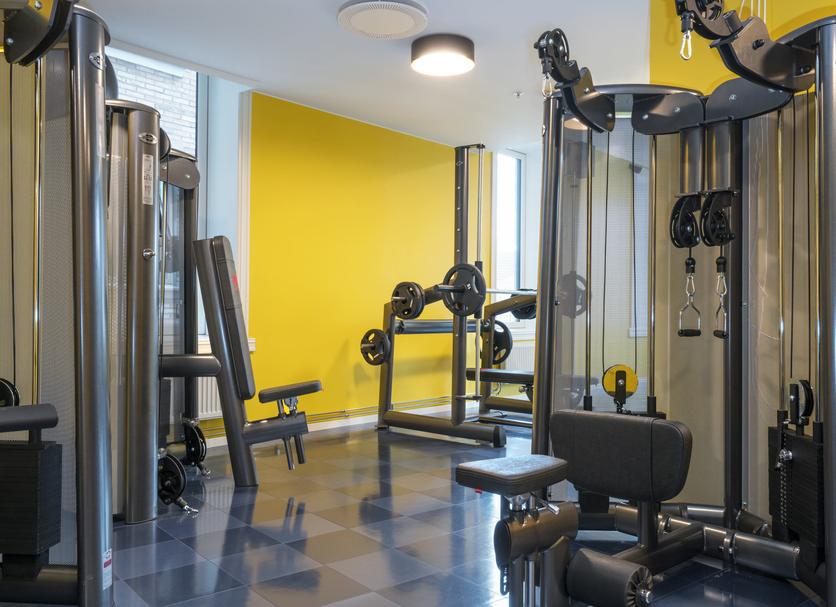 Palestra Foto