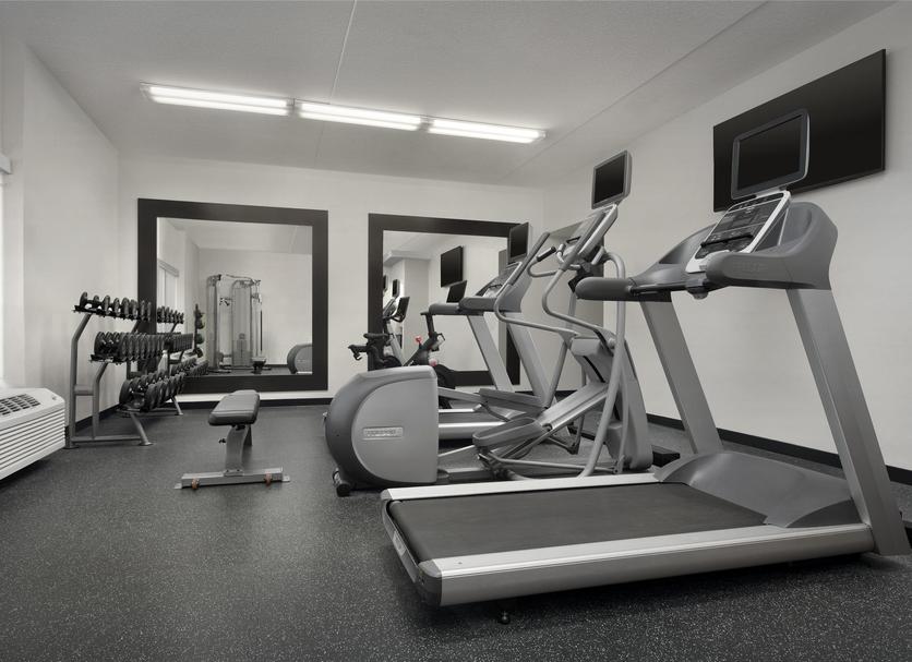 Palestra Foto