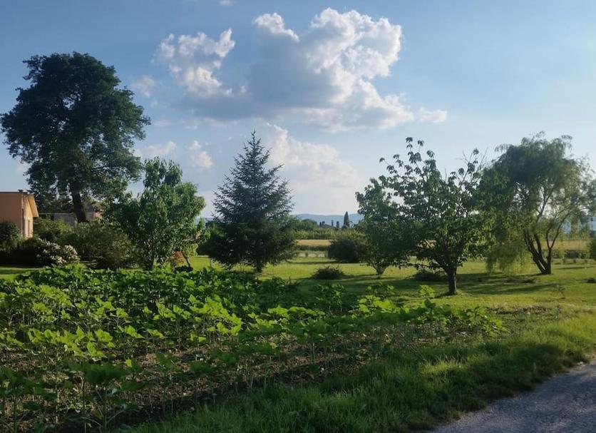 Vista esterna Foto