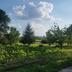 Vista esterna