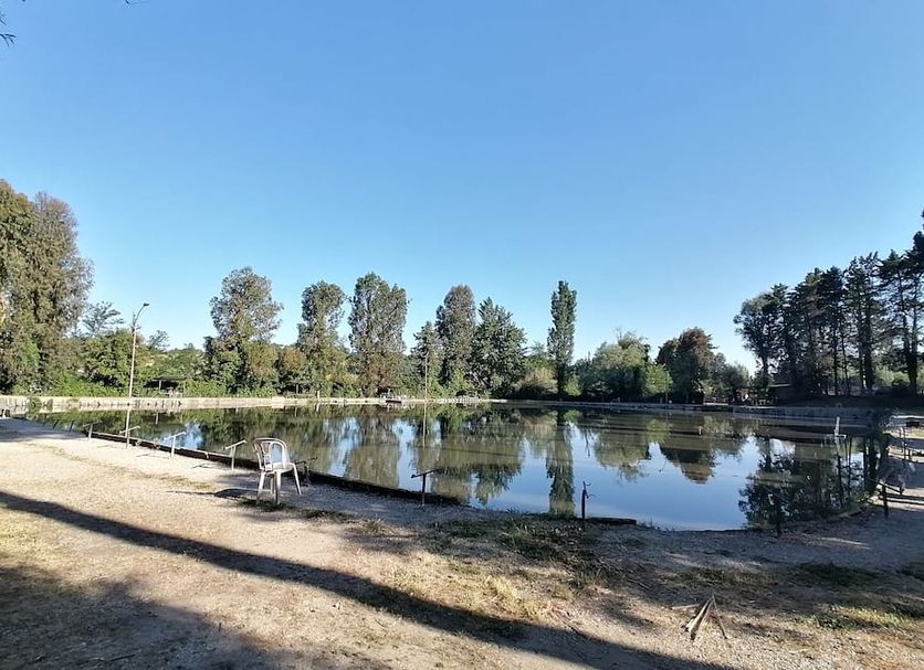 Altro Foto