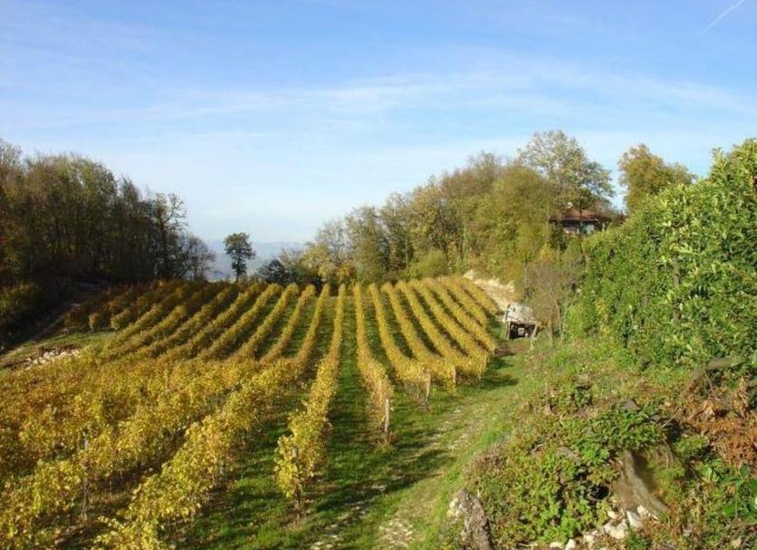Vista esterna Foto