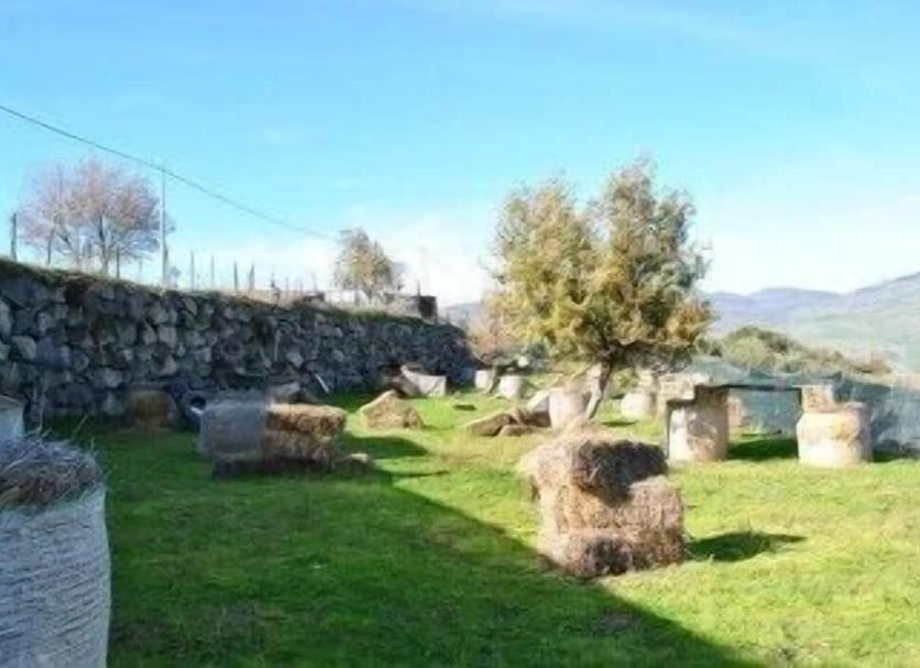 Vista esterna Foto