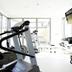 Palestra