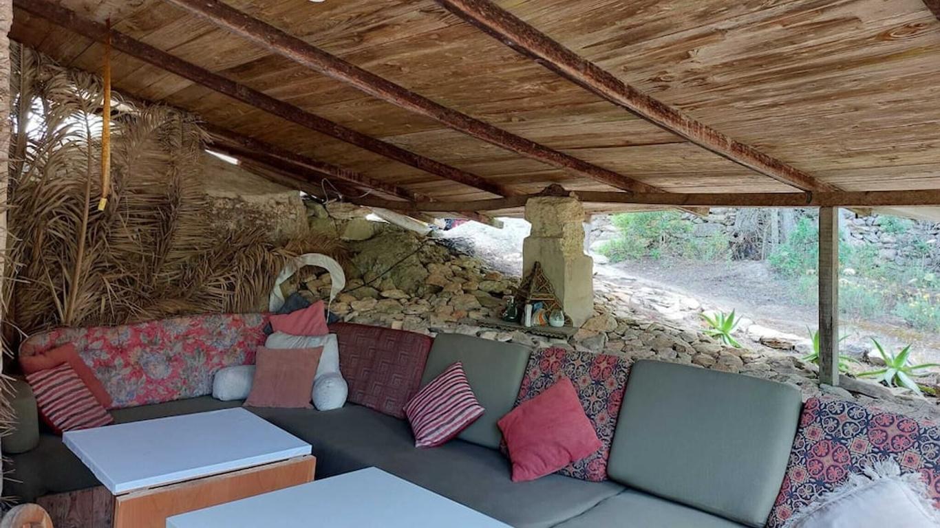 La Carpa Bouddha au Cœur de la Forêt