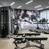 Palestra