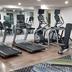 Palestra