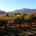 Vista esterna