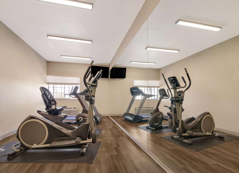 Palestra Foto