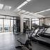 Palestra