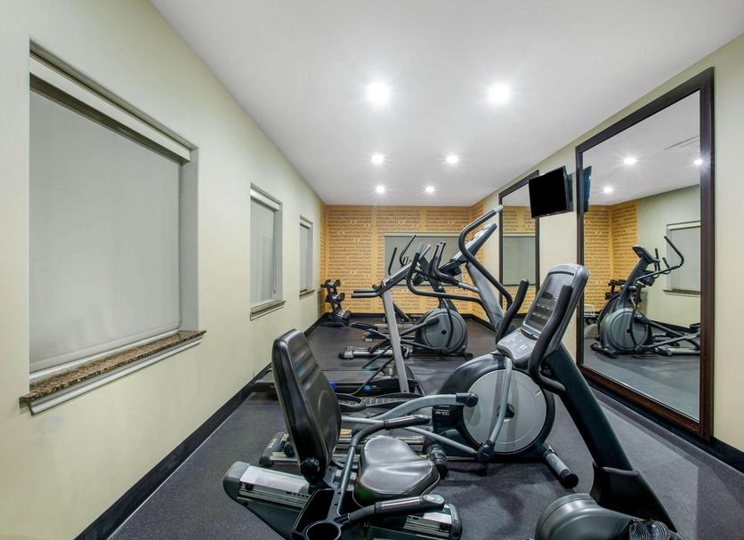 Palestra Foto