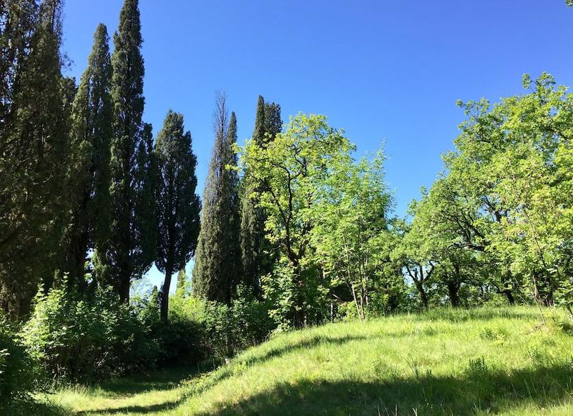 Vista esterna Foto