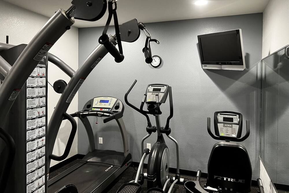 Palestra