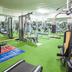 Palestra