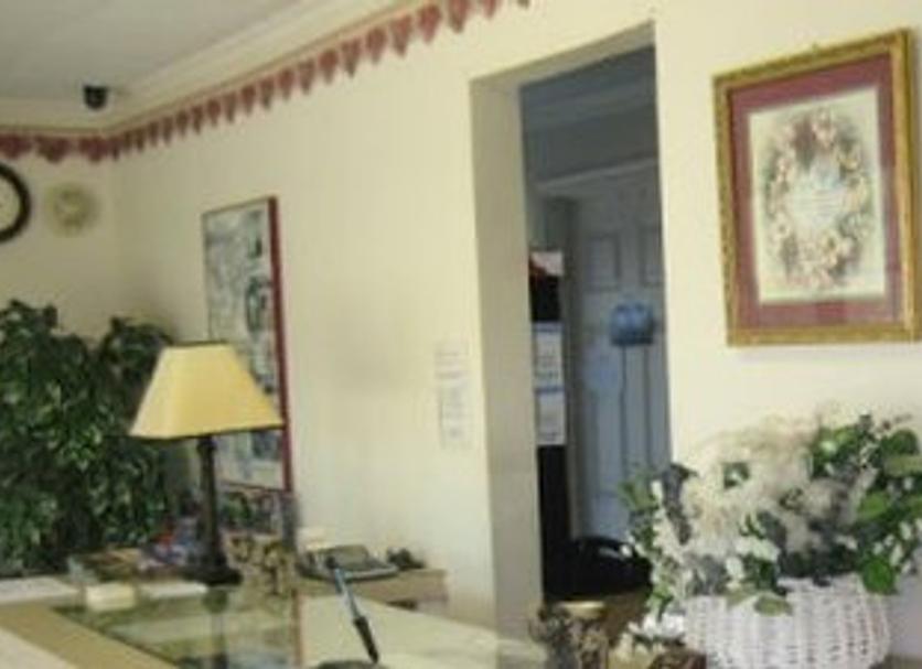 Ingresso Foto